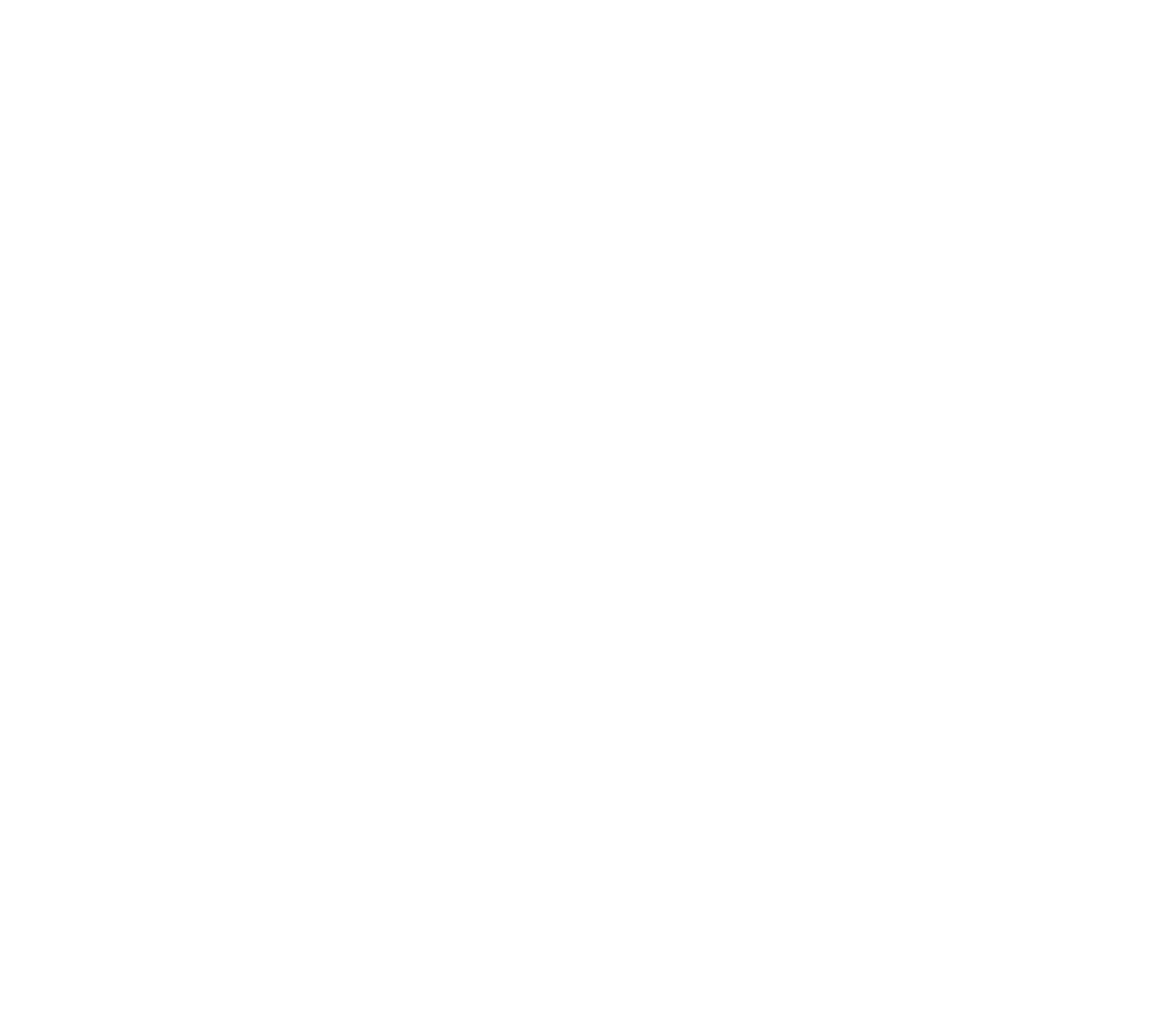 VV Fitness white logomark